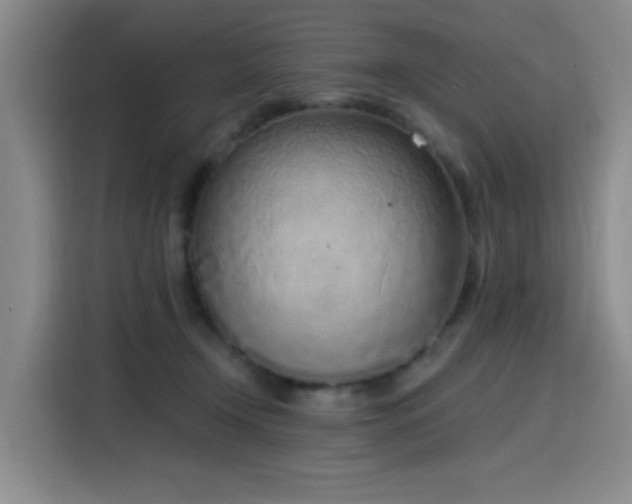 X0000116150366200911231336