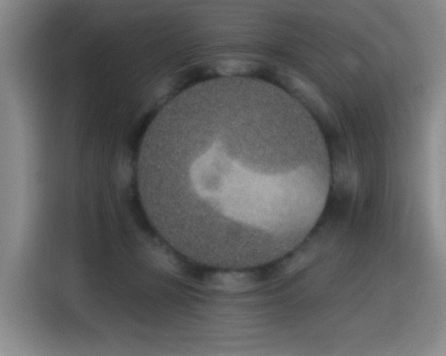 X0000116150367200911231336