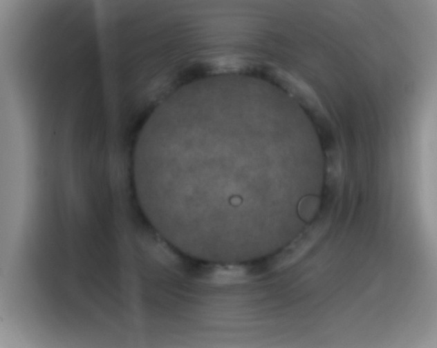 X0000116150369200911231336