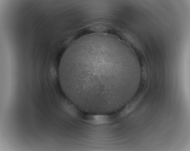 X0000116150371200911231336