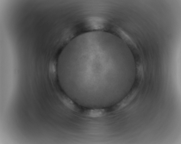 X0000116150373200911231336