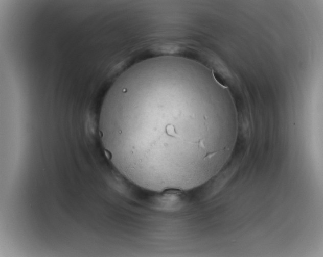 X0000116150374200911231336