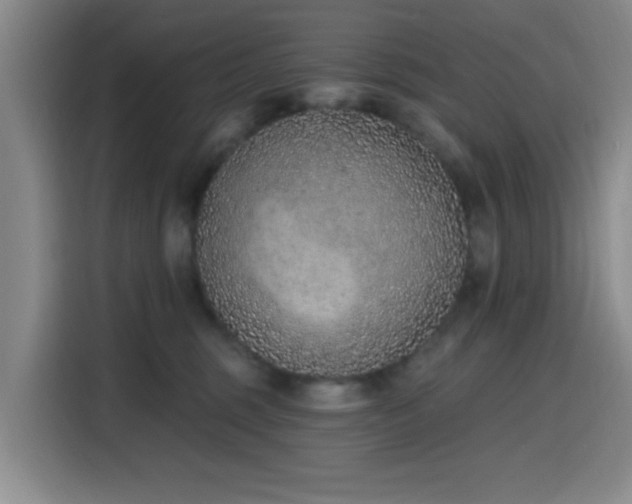 X0000116150375200911231336