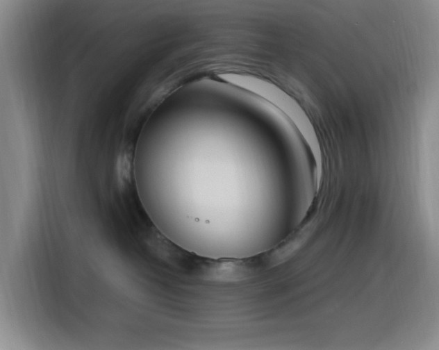 X0000116150382200911231336