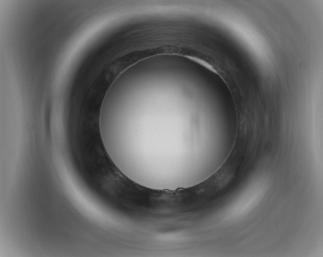 X0000116150383200911231336