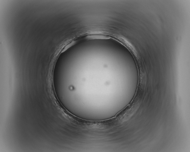 X0000116150385200911231336