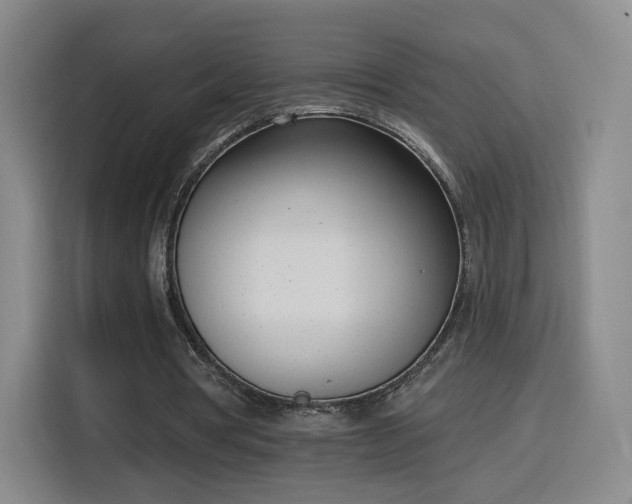 X0000116150386200911231336