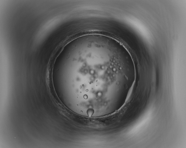 X0000116150387200911231336