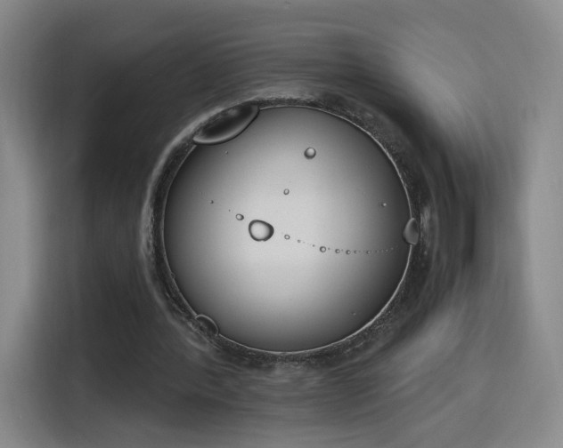 X0000116150388200911231335