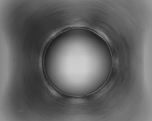 X0000116150389200911231335