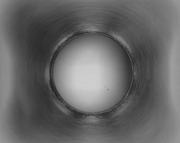 X0000116150390200911231335