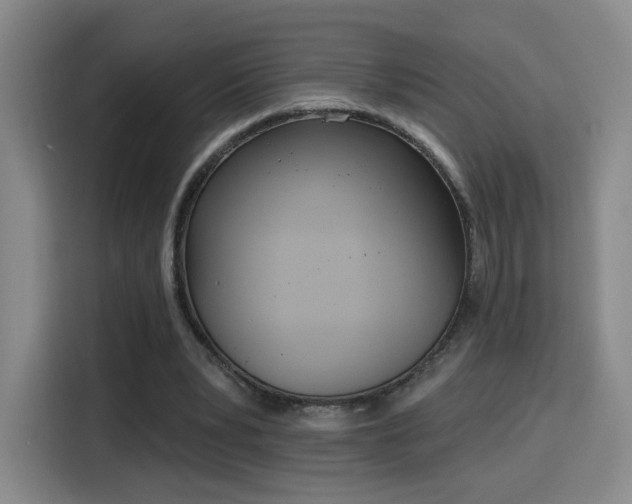 X0000116150391200911231335