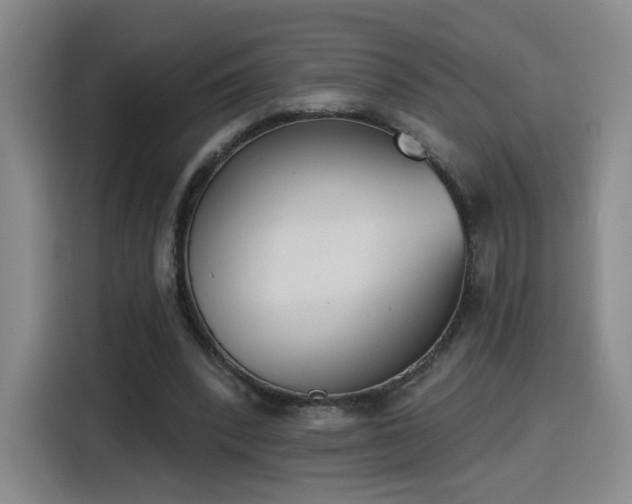 X0000116150392200911231335