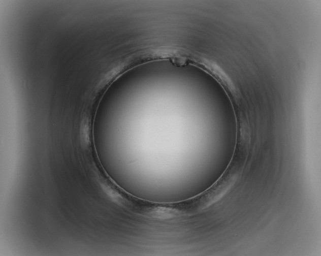 X0000116150393200911231335