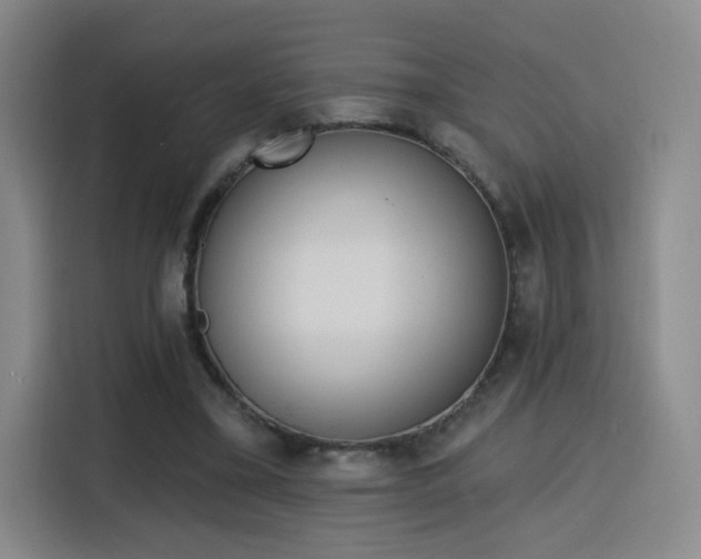 X0000116150395200911231335