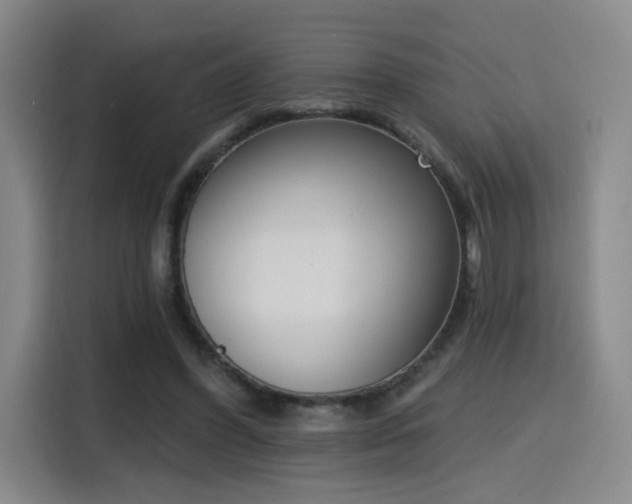 X0000116150396200911231335