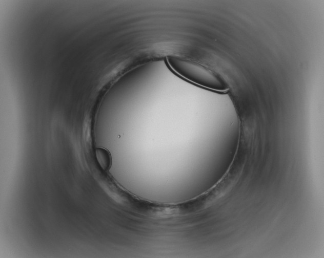 X0000116150398200911231335