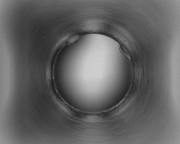 X0000116150399200911231335