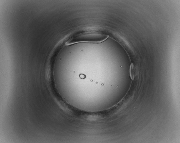 X0000116150400200911231335