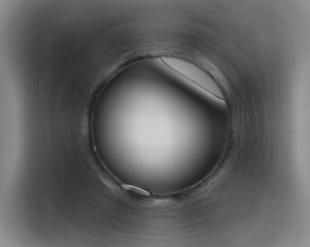 X0000116150401200911231335