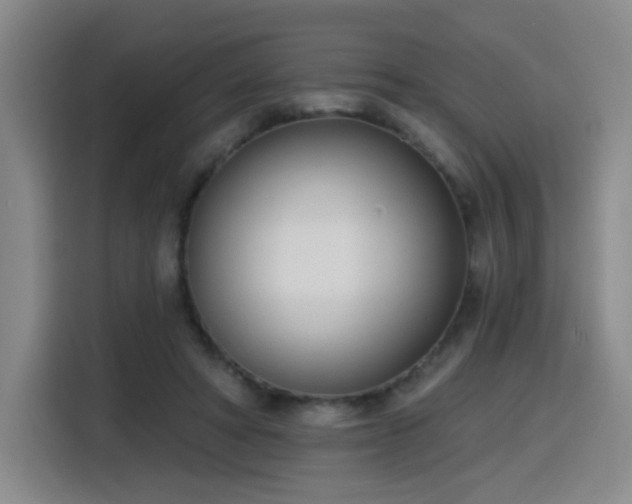 X0000116150402200911231335