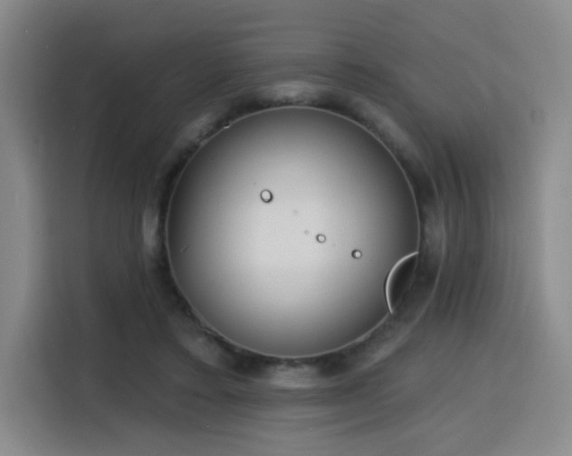 X0000116150403200911231335