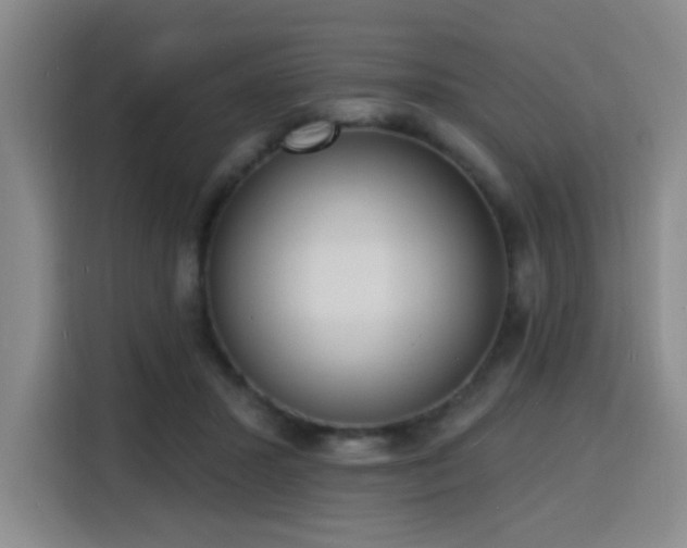 X0000116150407200911231335