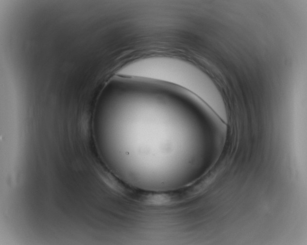 X0000116150409200911231335