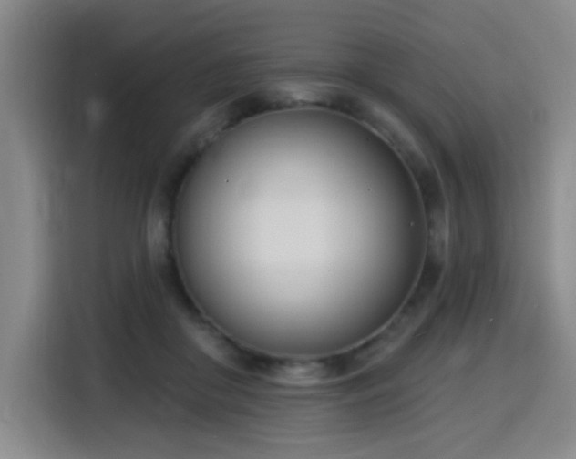 X0000116150410200911231335