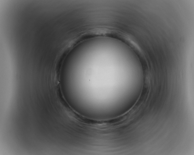 X0000116150411200911231335