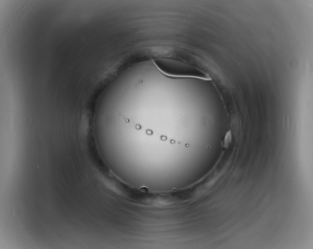 X0000116150412200911231335