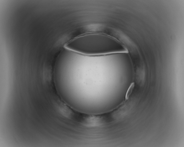 X0000116150413200911231335