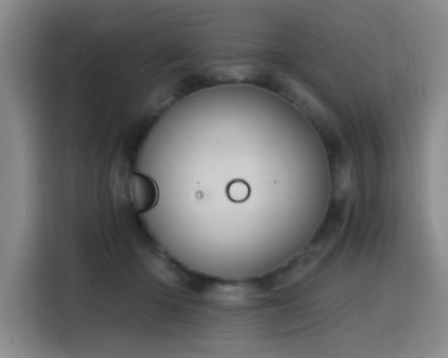 X0000116150414200911231335