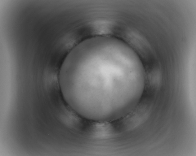 X0000116150415200911231335