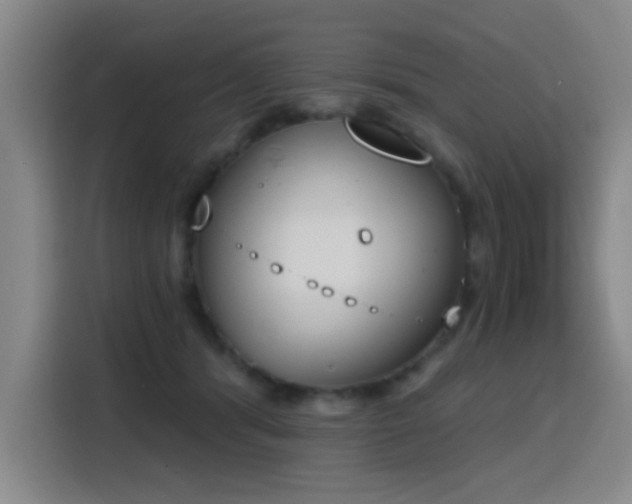 X0000116150416200911231335