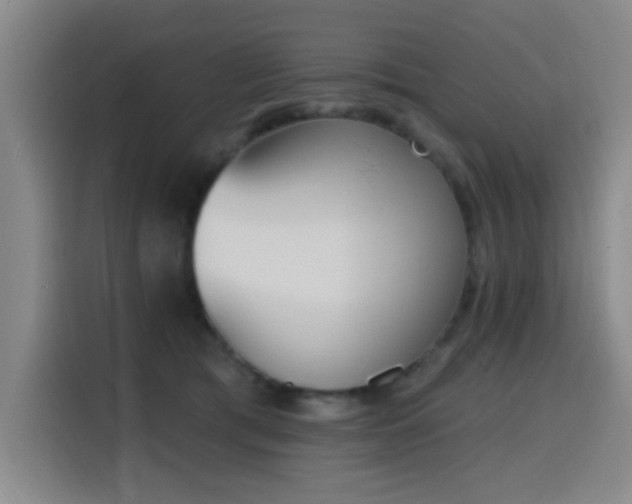 X0000116150417200911231335