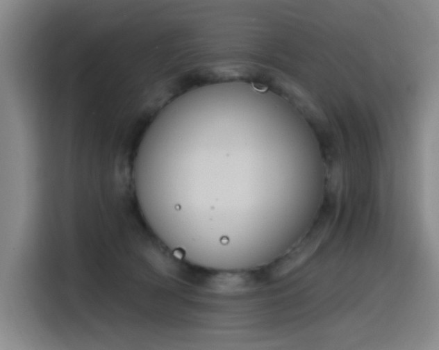 X0000116150418200911231335