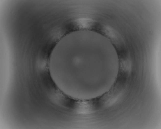 X0000116150419200911231335