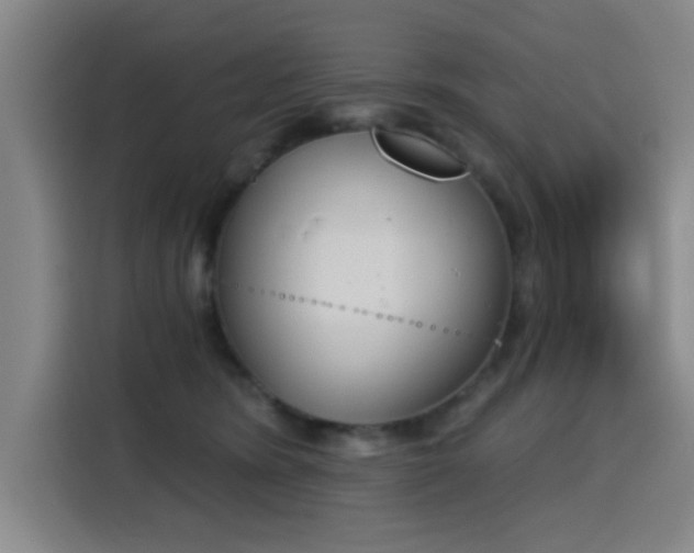 X0000116150420200911231335