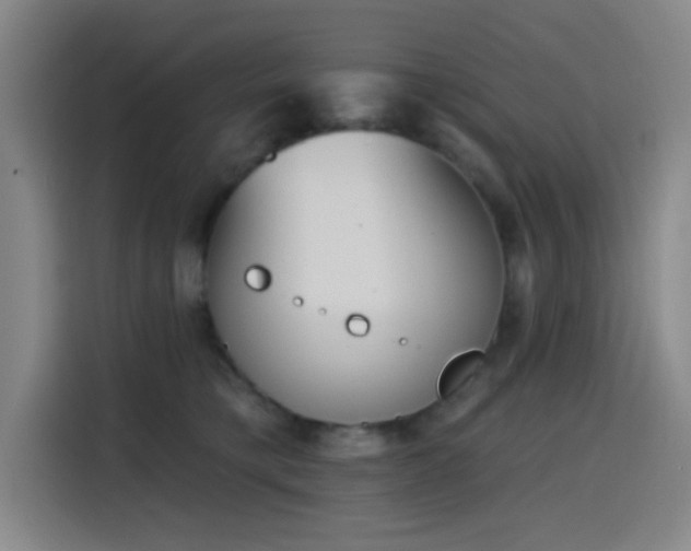 X0000116150421200911231335