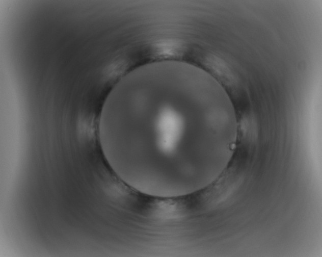 X0000116150423200911231335