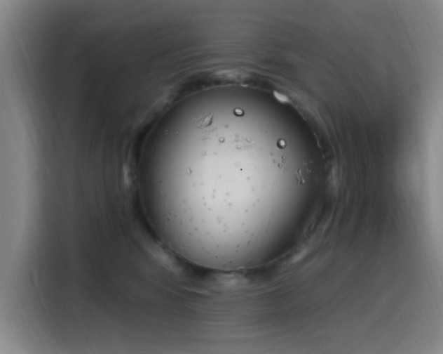 X0000116150424200911231335