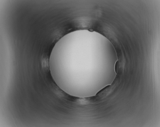 X0000116150425200911231335