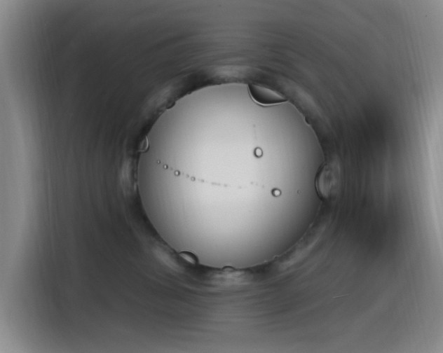 X0000116150428200911231335