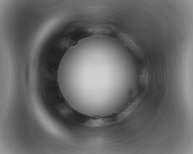 X0000116150430200911231335