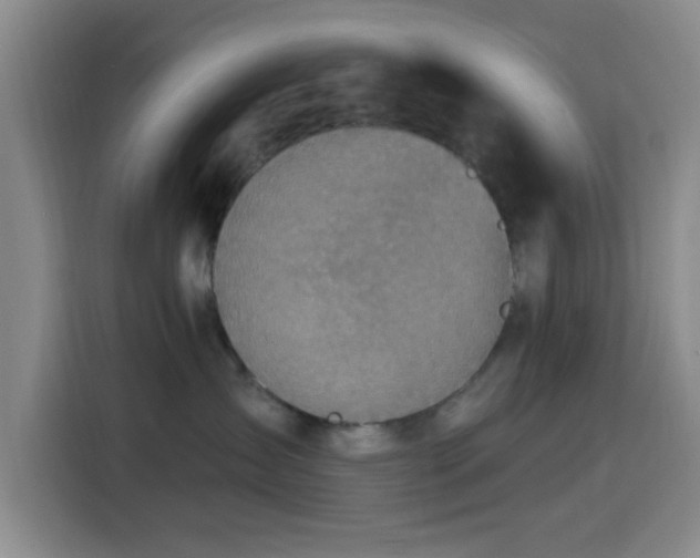 X0000116150431200911231335