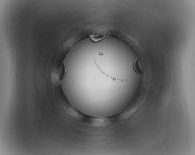 X0000116150432200911231335