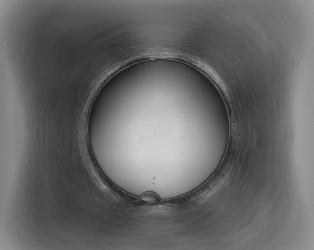 X0000116150433200911231334