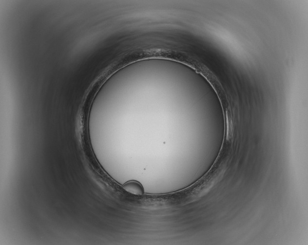 X0000116150435200911231334