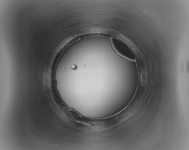 X0000116150436200911231334